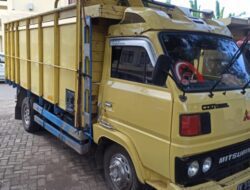 Polres Situbondo Amankan Sopir Truk Angkut Kayu Tanpa Dokumen