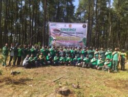 Sambut HUT Ke 61 Perhutani dan Batalyon Raider 514 Bondowosk Melaksanakan Penanaman Pohon Alpukat Bersama