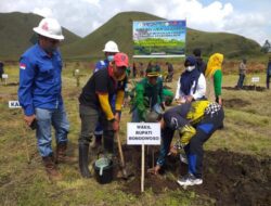 Sinergitas Ijen Geopark Perhutani Bondowoso Melakukan Penanaman Bersama