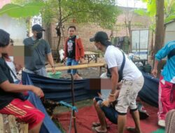 Satreskrim Polres Situbondo Gerebek Judi Sabung Ayam, Empat Pelaku Berhasil di Tangkap