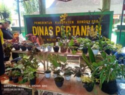 Dukung Visi Misi Bupati Bondowoso Melesat Asosiasi Holtikultura Persembahkan Pasar Tani Bondowoso.