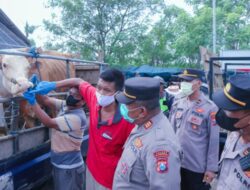 Mitigasi Penyebaran PMK, Polres Situbondo Bersama Dinas Peternakan Cek Pasar Hewan Kamisan Asembagus