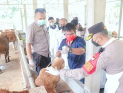 AKBP Andi Sinjaya Gerak Cepat Ambil Langkah Strategis Bersama Dinas Peternakan, Antisipasi Penyebaran Virus Penyakit Mulut dan Kuku di Situbondo.