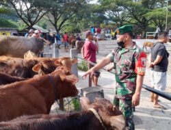 Bersama Instansi Terkait Personel Koramil 0825/16 Glenmore, Melaksanakan Pengecekan Antisipasi PMK di Pasar Hewan Glenmore