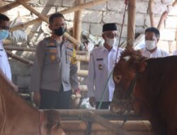 Kapolres Bondowoso Lakukan Edukasi Wabah PMK Pada Pemilik Hewan Ternak