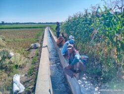 Proyek P3-TGAI di Desa Panji Lor Mendapat Apresiasi Dari Warga dan Tokoh Masyarakat.