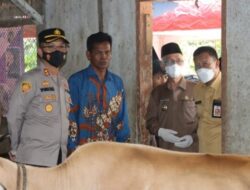 Ikut Tinjau Vaksinasi Sapi di Tamanan, Kapolres Wimboko Ingatkan Masyarakat Tak Percaya Hoax