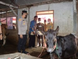 Cegah Penyebaran PMK Jelang Hari Raya Kurban, Polres Bondowoso Pantau Ternak Warga