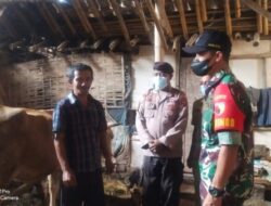 Polsek Grujugan Memberikan Edukasi Pada Peternak Tentang PMK