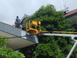 Ulah Monyet, Berkas Penting Diacak-acak.