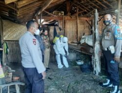 Kapolsek Curahdami Bersama BPBD dan Tiga Pilar Lakukan Kegiatan Penyemprotan Disinfektan ke Kandang Ternak Warga