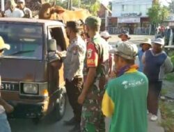 Cegah PMK, Polres Pamekasan Lakukan Pemeriksaan Kendaraan Pengangkut Hewan
