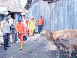 Cegah Penularan PMK, AKBP Andi Sinjaya Bersama Forkopimda Situbondo Lakukan Penyemprotan Disinfektan di 17 Kecamatan 