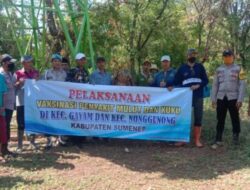 DKPP Kabupaten Sumenep laksanakan Vaksinasi PMK di pulau Sapi Sapudi.