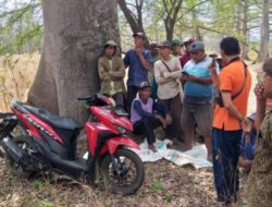 Atraksi SAMBO (Sama-sama Bohong), Dalam Pengelolaan Panen Kapuk Di Lahan KLHK Wongsorejo