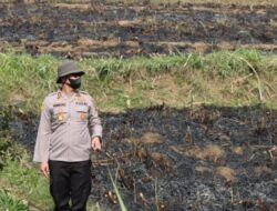 Kapolres Bondowoso Lakukan Peninjauan Pembakaran Lahan Tebu di Wilayah Pujer
