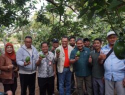 Komitmen Tingkatkan Ekspor, Realisasikan Alpukat Pameling Menuju Indonesia Emas