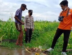 Tragis, Bayi Perempuan Ditemukan Tidak Bernyawa Di Tengah Sawah Panji Kidul