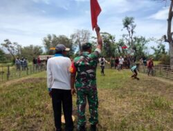 Seleksi putaran ke II Kerapan Kambing Dandim Cup 0827 Sumenep tahun 2022 di Gelar Dilapangan Seppat Desa Gendang Barat