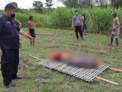 Gempar! Warga Blibis Sliwung Ditemukan Meninggal di Persawahan
