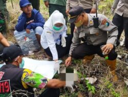 Kerangka Diduga Kepala Manusia di Temukan di Kawasan Hutan Taman Nasional Baluran