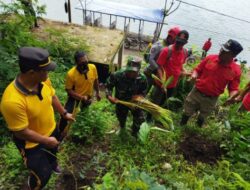 Pasca Bencana Longsor, Perhutani Lawu Ds Tanam Pohon dipinggir jalan Wisata Lingkar Telaga Ngebel