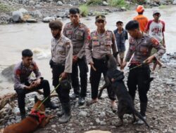 Hari Ketiga Pencarian Korban Tanah Longsor di Gowa, Unit Polsatwa K9 Diturunkan