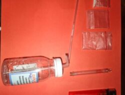 Asyik Nyabu di Kebun Coklat, Dua Pemuda Akhirnya Diringkus Satresnarkoba Polres Bondowoso