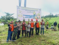 KPH Bondowoso Tanam Pohon Pinus Bersama Tomas Dan Awak Media