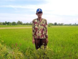 Mengantisipasi Kelangkaan, Distribusi Pupuk Bersubsidi Perlu Lebih Dipantau