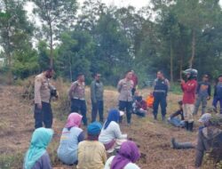 Perhutani Bondowoso Gandeng Forkopimda Tinjau Lokasi Karhutla Dipetak 88A RPH Blawan