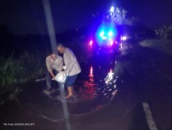 Demi Warga Biar Nyaman, Polisi di Gresik Perbaiki Jalan Berlubang