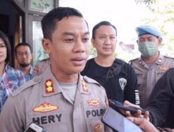 Polres Jember Amankan Warga Ambulu Yang Jual Benih Lobster Tanpa Izin