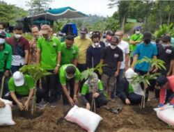 6.000 Hektar Lahan Di Kabupaten Situbondo Akan Di Tanami Porang