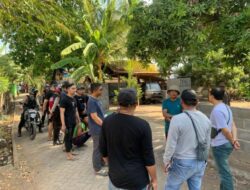 Gerebek Sabung Ayam, Polisi Tangkap 2 Tersangka dan Sita Uang Puluhan Juta