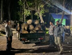 Laksanakan Patroli Gabungan, Polsek Banyuputih Amankan Pickup Yang Bermuatan Kayu Ilegal Logging
