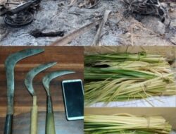 Polsek Candipuro Berhasil Amankan Empat Orang Terduga Pencuri Janur