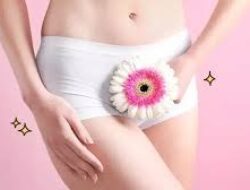 Jaga Kesehatan Organ Intim Wanita dengan 5 Langkah Sederhana yang Bikin Bahagia!