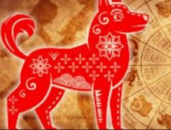 Prediksi Shio Anjing Tahun 2024: Menjelajahi Ramalan Zodiak Cina