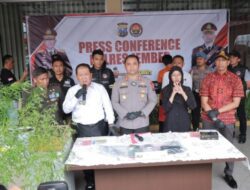Polres Jember Berhasil Ungkap Tanaman Ganja di Rumah Warga, Bupati Berikan Apresiasi