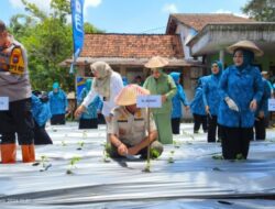 Beras Organik Produk Unggulan Bondowoso Raih Terbaik Tingkat Nasional