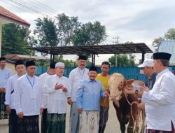 Sambut Hari Raya Idul Adha 1445 H, Pemkab Situbondo dan Korpri Sembelih 41 Sapi dan 2 Domba