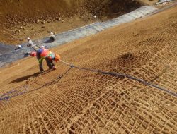 Inilah Alasan Proyek Ramah Lingkungan Beralih ke Cocomesh Sabut Kelapa!