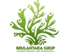 Ji Lilur: Budidaya Rumput Laut Lebih Menguntungkan dari Tambang Batu Bara dan Nikel