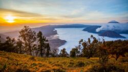 Wisata Alam Jawa Timur: Dari Pegunungan Aktif hingga Pantai Eksotis yang Mendunia