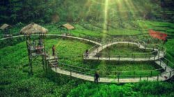 wisata-jawa-tengah-kamu-harus-kunjungin