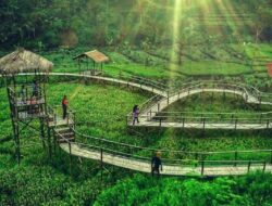 Wisata Jawa Tengah: Surga Destinasi Alam, Budaya, dan Sejarah di Jantung Pulau Jawa