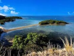 Wisata Situbondo, Ragam Destinasi Alam dan Bahari di Pantura Jawa Timur