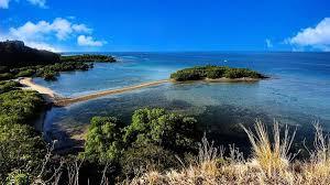 wisata-situbondo-wajib