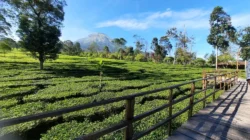 wisata-alam-jawa-tengah-indah